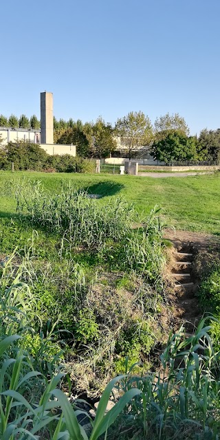 Scuola Secondaria di 1° Grado “Filippo Mazzei”