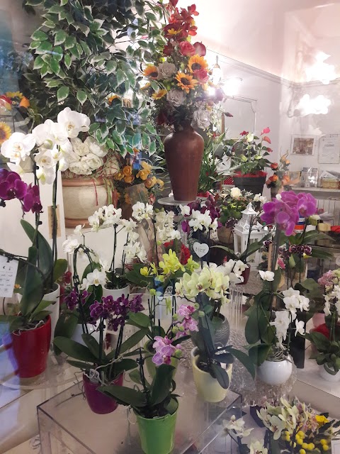 I Fiori Di Sanremo