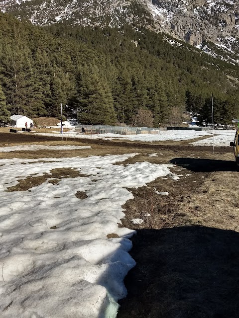 Cani da slitta La Tribù rando