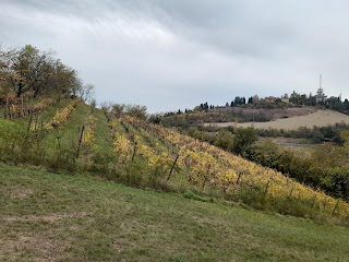 Sentiero 904 da Bologna a Eremo di Ronzano