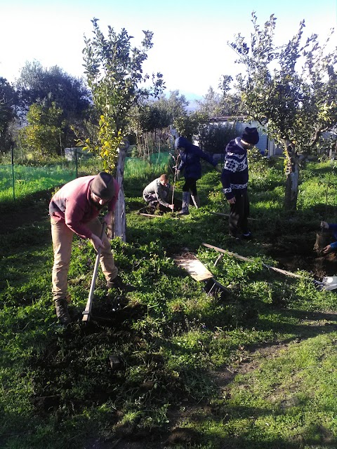 Jacaranda Center - Grounding Institute