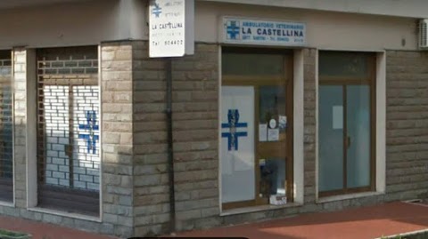 Ambulatorio Veterinario LA CASTELLINA Dottor Lorenzo Santini