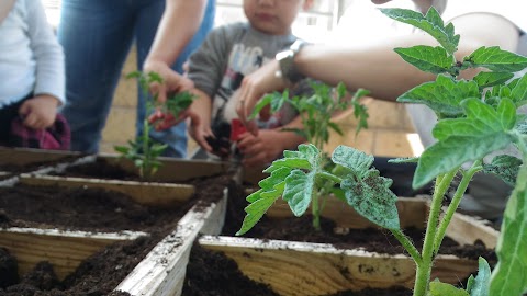 PER FARE UN ALBERO asilo nido spazio be.bi. ludoteca sala per feste corsi e laboratori per bambini