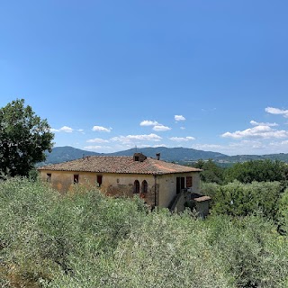 Podere Carraia