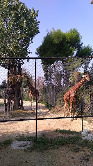 RistoZoo Falconara