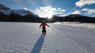 Maestro di Sci - Angelo Viviani - Scuola Italiana Sci CCM Madonna di Campiglio