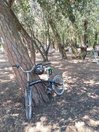 Palestra della Pineta di Castel Fusano