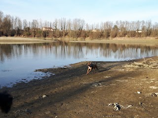 parco Ansa Del Brenta