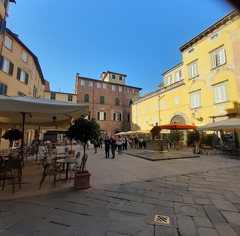 Puccini Museum - Casa Natale di Giacomo Puccini