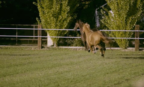 La Prospera Centro Equestre