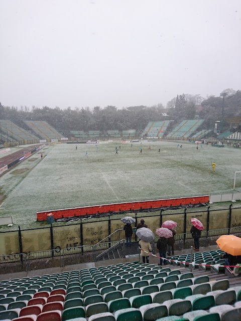 Stadio Artemio Franchi