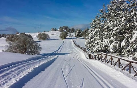 Scuola di Sci di fondo Etna - Belpasso