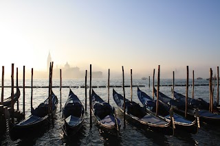 See Venice Guided Tours Luisella Romeo