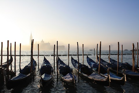 See Venice Guided Tours Luisella Romeo