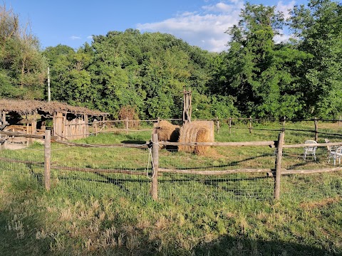 Agriturismo Zucchegni