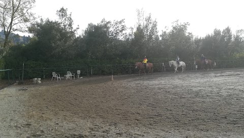 Scuola Equitazione Fiorentina