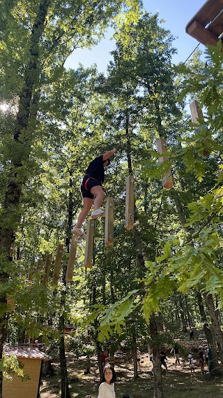 Parco Avventura Vico Nel Lazio