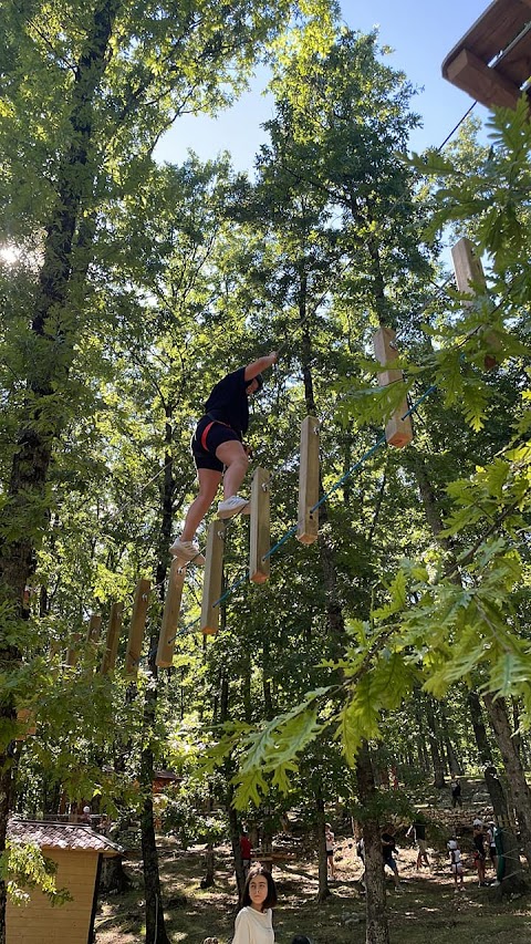 Parco Avventura Vico Nel Lazio