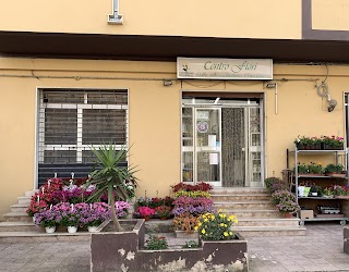 NEGOZIO DI FIORI / Vella Bianchettino Concetta