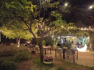 Patio Roof Garden