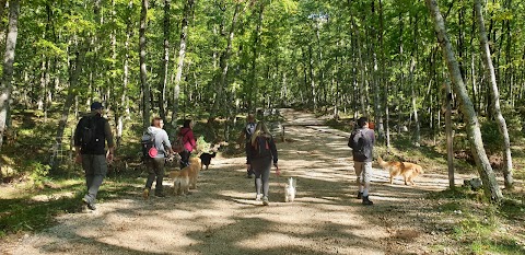 Parco Avventura Vico Nel Lazio