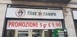 Fiore di canapa GROWSHOP CBD CANAPA INFIORESCENZE