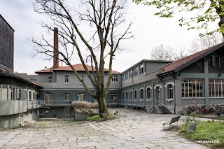 Civica Scuola Di Teatro Paolo Grassi