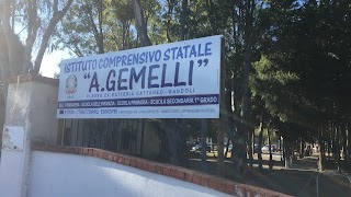 Istituto Comprensivo Statale A.Gemelli