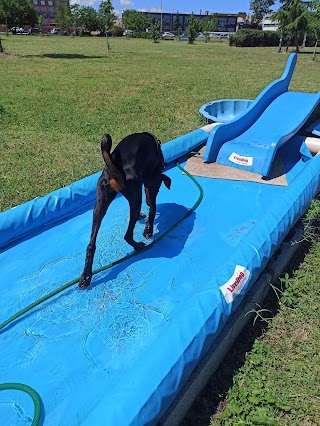 LiveDog Park - Centro Cinofilo Città di Verona ASD