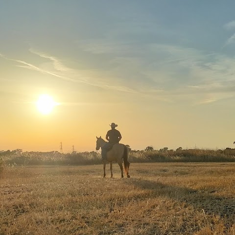 Centro Ippico Winnie Dry Ranch di Tiselli Diego