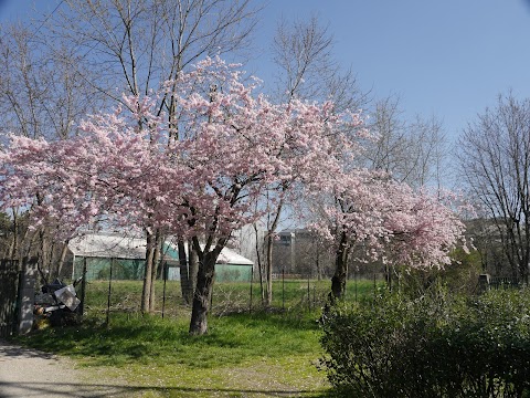 Centro Tennis Valla - Scuola Addestramento Tennis