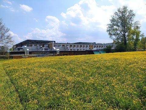 Ospedale Veterinario Universitario del Dipartimento di Scienze Mediche Veterinarie