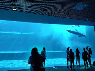 Acquario di Genova