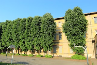 Scuola Media Statale Leonardo Da Vinci