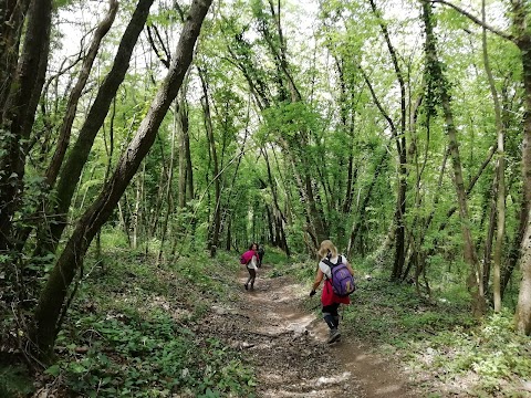 Bosco di San Vito - Monte Tifata