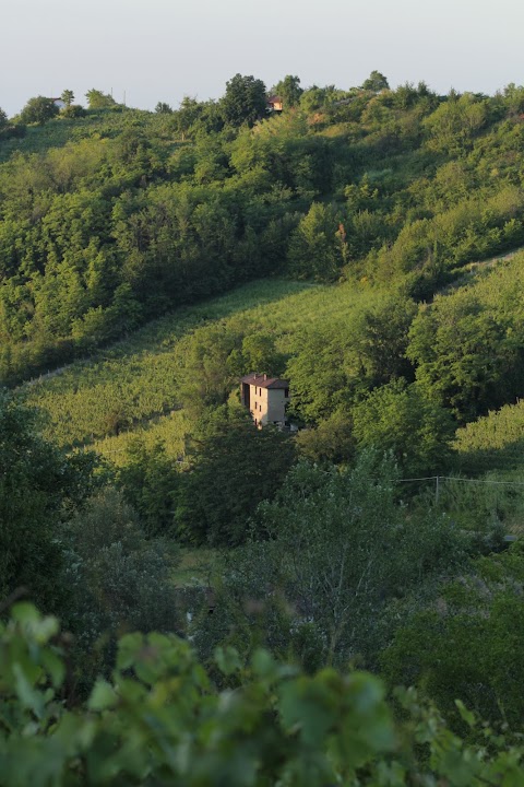 Azienda Agricola La Gioia