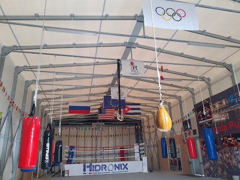 ASD Scuola Pugilistica Pomigliano, Pugilato, Boxe per bambini e adulti