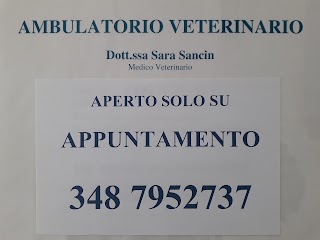 Ambulatorio Veterinario Dott. S.Sancin
