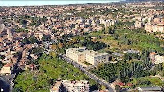 Dipartimento di Agricoltura, Alimentazione e Ambiente - Università degli Studi di Catania