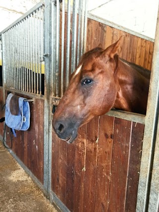 ASD Centro ippico Valtellina Horses