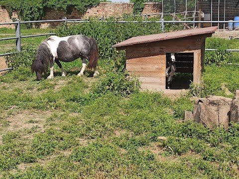 Agriturismo La Fraccina