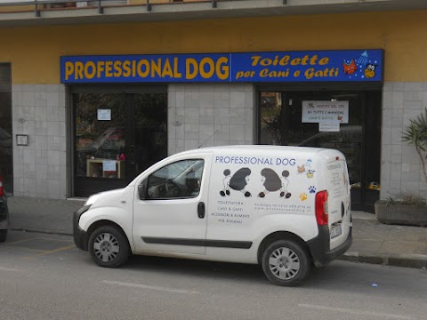 Professionaldog