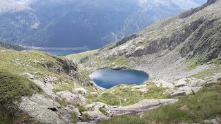 Parco Dell'Adamello