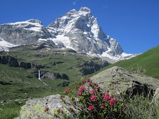 Guida turistica Valle d'Aosta Anna Careggio