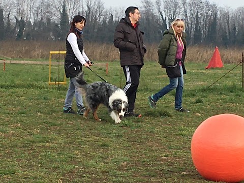 PetPRO Dog CAMP Verona Centro Cinofilo