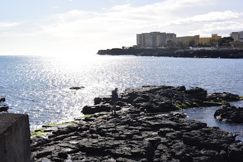 Università degli Studi di Catania