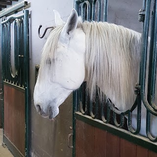 Allevamento Statale Del Cavallo Lipizzano