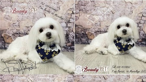 Beauty PET! di Raffaella Padovan