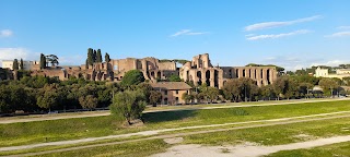 Le Domus del Circo Massimo