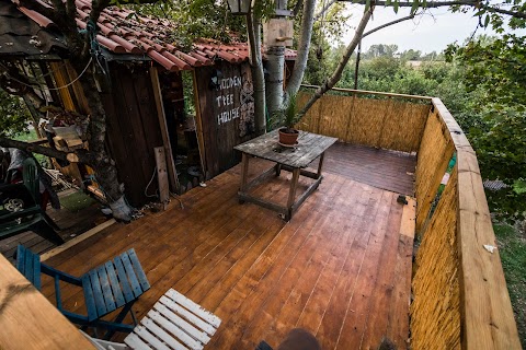 Wooden Tree House